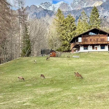 Charme Alpino E Modernita-appartamento Ristrutturato A Due Passi Dal Centro Apartament *